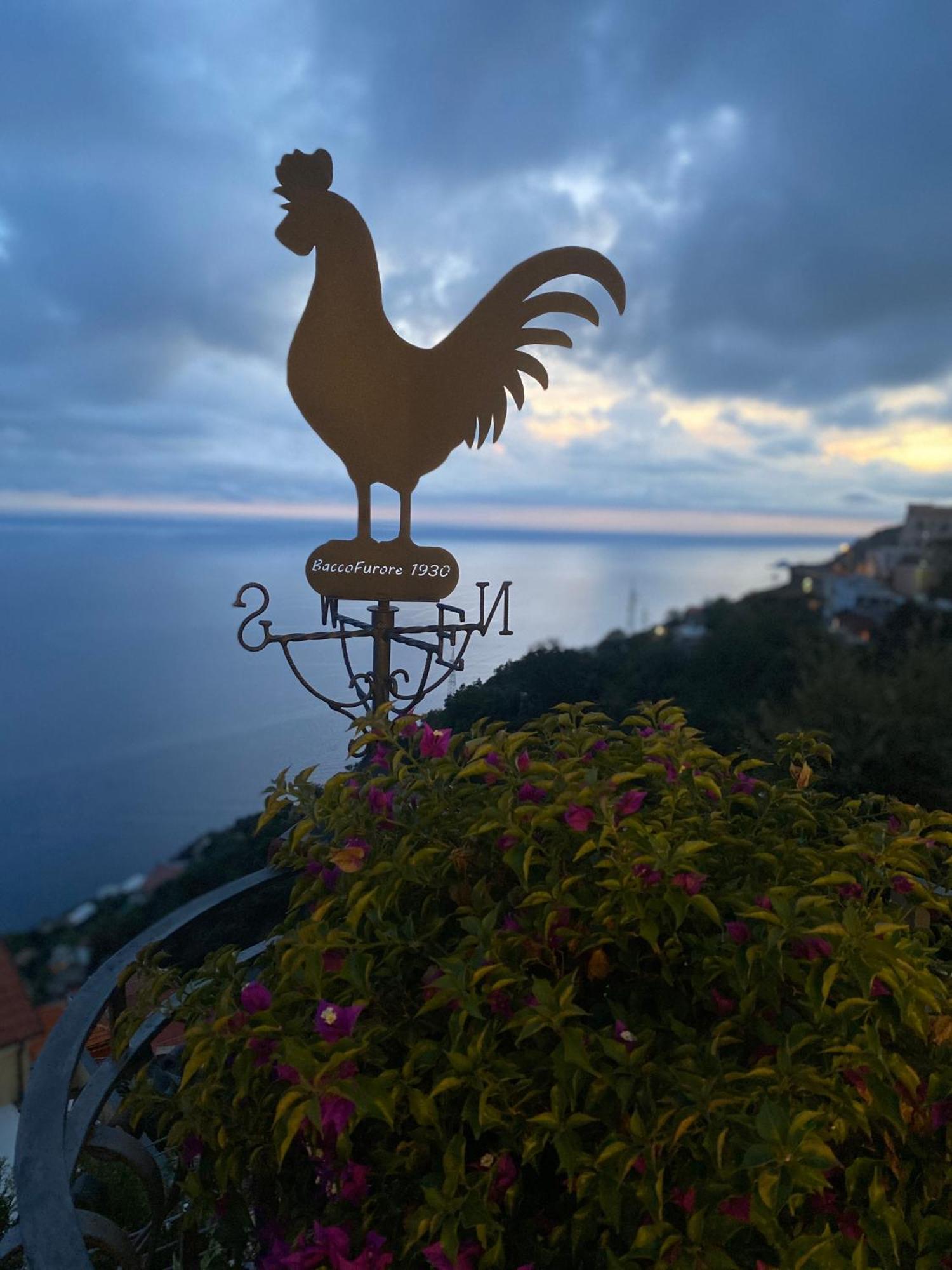 Albergo Dipinto Baccoフローレ エクステリア 写真